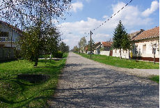 Bavanište: poginuo u milnu Bavanište: poginuo u milnu